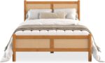 Vienna Cane Bed - Image 2